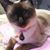 Catherine Ivey Fields's profile image