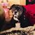 Cindy Biesty's profile image