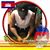 Tony Nguyen's profile image