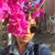 Jentri Marie C. Flores's profile image