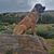 David Paul Carson II's profile image