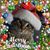 Mary L Jacobs's profile image