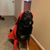 Doug Watson's profile image
