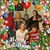 Debbie Chapin's profile image