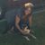 Paula Shindler's profile image