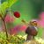 Joyce Kaetterhenry's profile image