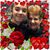 Diane Shutter's profile image