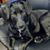 Jennifer Dahlk-Esser's profile image