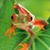 Valerie Clary's profile image