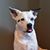 Erin Yoder's profile image