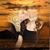 Kim Wagoner-Mckibben's profile image