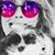 Janet Cates Smith's profile image