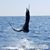 Eric Van Orden's profile image