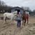 Shelby Tripp's profile image