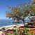 Janice Shaw-Gallaga's profile image