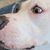 Kimberly B Meyer's profile image