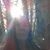 Deborah Hogan Finney's profile image