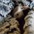 Mary Burgan's profile image