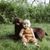 Lisa Deacon's profile image