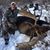Bruce Grant's profile image