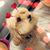 Dena Ramos's profile image