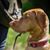 Nell Burden's profile image