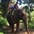 Sloan Buffum-Robbins's profile image