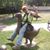 Jason R Stevens's profile image
