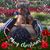Vivan Wardell's profile image
