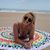 Lacey Boone's profile image