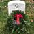 Barb Turnbaugh Campbell's profile image
