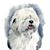 Holly Bupp's profile image