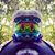 Jarrett Whitehead's profile image