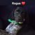 De La Vergne-Allen Diane's profile image
