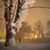 Kathy Farrell-Bezler's profile image