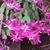 Donna Henke-Sprenger's profile image