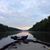 Sue Sweeney Souerwine's profile image