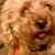 Judy Dishman's profile image