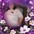 Jennifer Sheffield's profile image