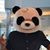 Stephen Davies's profile image