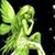 Lisa Comarsh's profile image