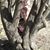 Misty Meacham's profile image