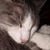Renae Woods Keel's profile image