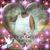 Kiva Tisdale's profile image