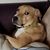 Tami Harding's profile image