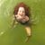 Claire Gallo's profile image