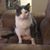 Elaine Cancro's profile image