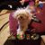 Jeanne M Peiffer's profile image