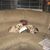 Linda Brendmoen Miller's profile image