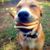 Kate Gage's profile image